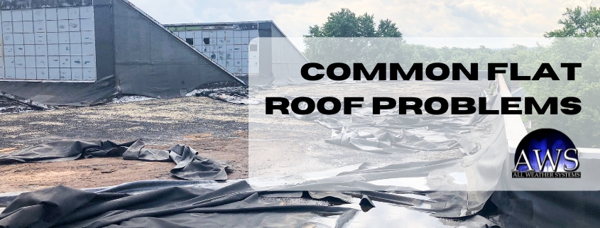Common Flat Roof Problems and How to Address Them