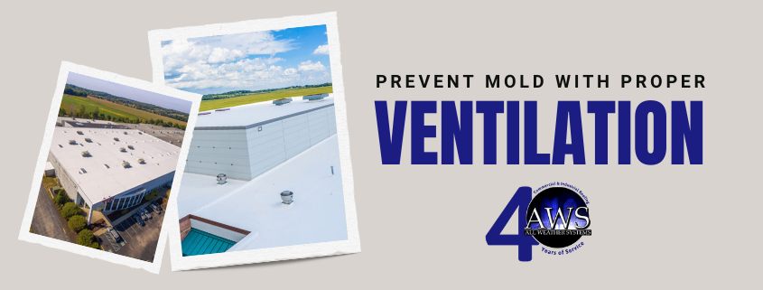 The Importance of Proper Flat Roof Ventilation: Preventing Mold and Damage